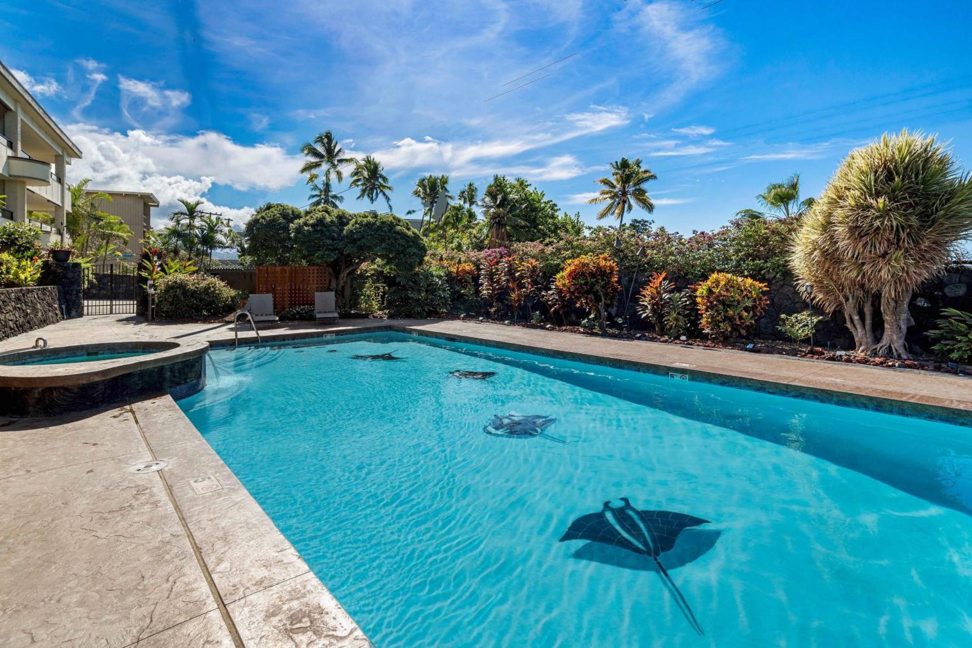 Direct Oceanview Paradise In A Luxury Condo 2B2B,Ac Kailua-Kona Exterior foto